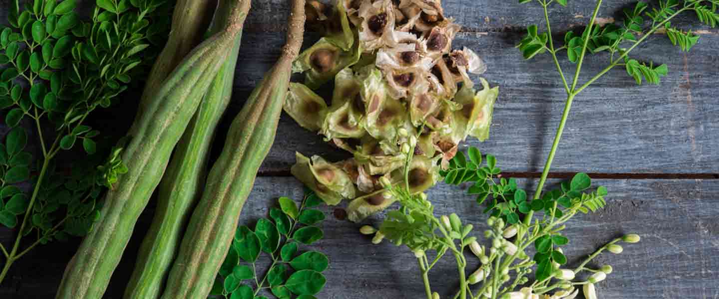 Τι είναι το τσάι Moringa, Ποια είναι τα οφέλη του τσαγιού Moringa;